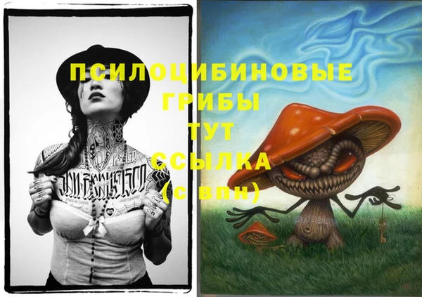 спайс Алексин